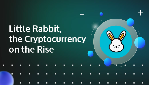 little rabbit crypto coin